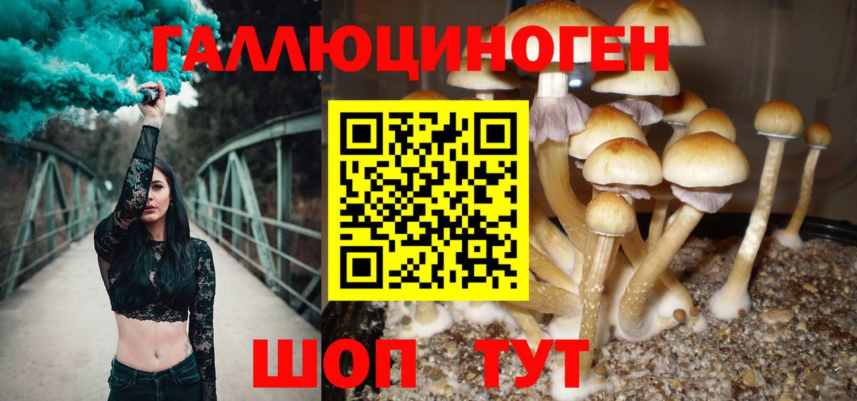 Галлюциногенные грибы Cubensis  Вход с VPN  Павловский Посад 