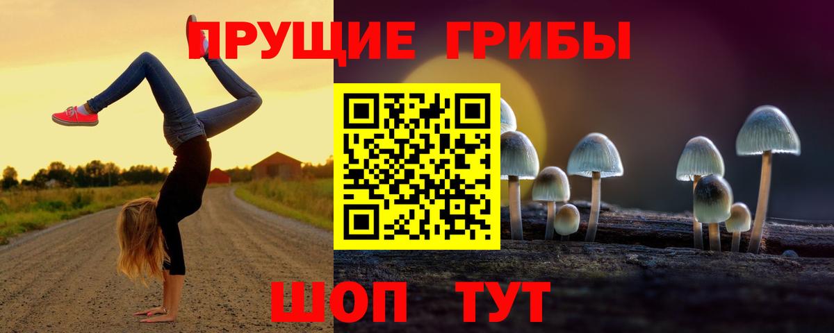 Галлюциногенные грибы мухоморы Павловский Посад